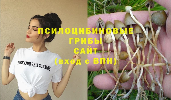 мет Богородицк