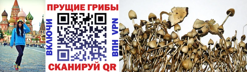 МЕГА зеркало  Киржач  Галлюциногенные грибы мицелий 